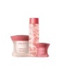 PROMO RITUEL ROSELIFT